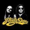 flat750x075f pad750x1000f8f8f8 30 - Steely Dan Shop
