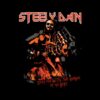 flat750x075f pad750x1000f8f8f8.u2 25 - Steely Dan Shop