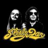 flat750x075f pad750x750f8f8f8 29 - Steely Dan Shop